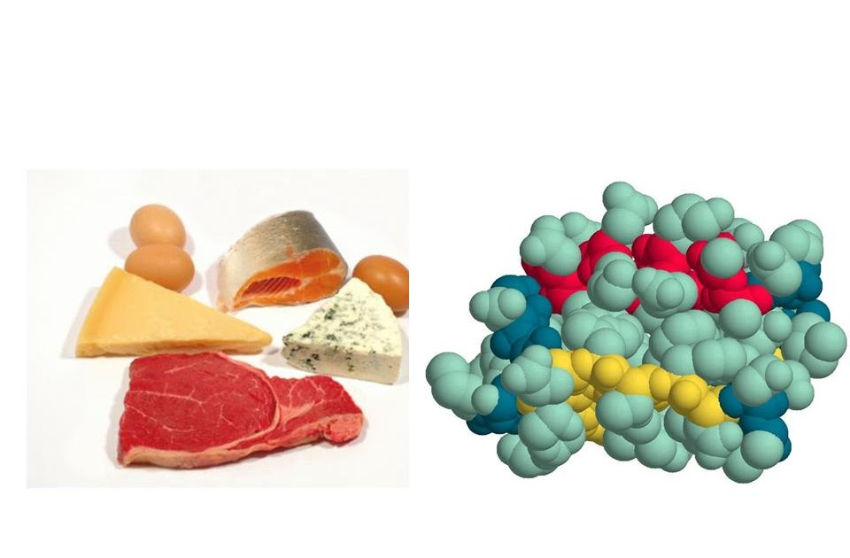 Cuantas proteinas comer en estado de cetosis